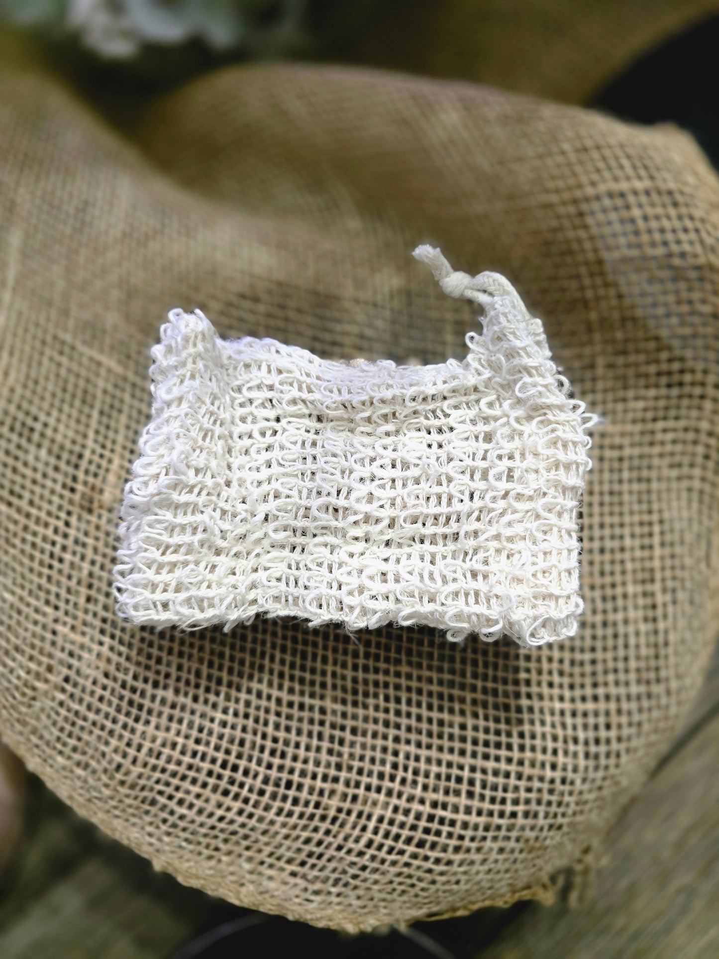 Exfoliating Bag