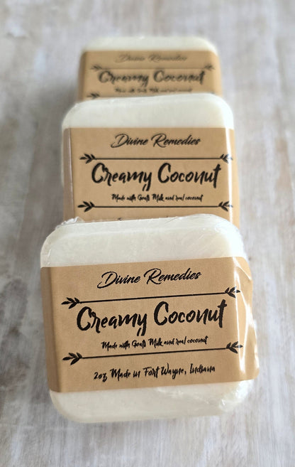 Travel Size Soap Bars